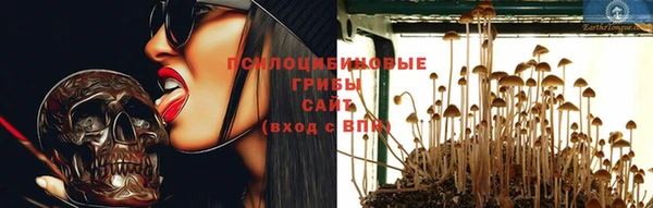 mdpv Верея