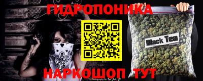 PSILOCYBIN Свободный