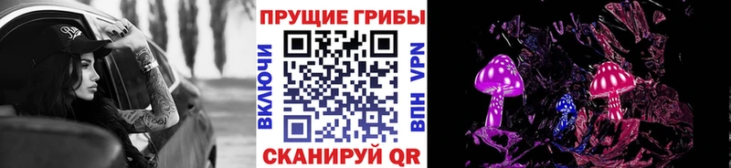 дарнет шоп  Череповец  Галлюциногенные грибы мицелий 
