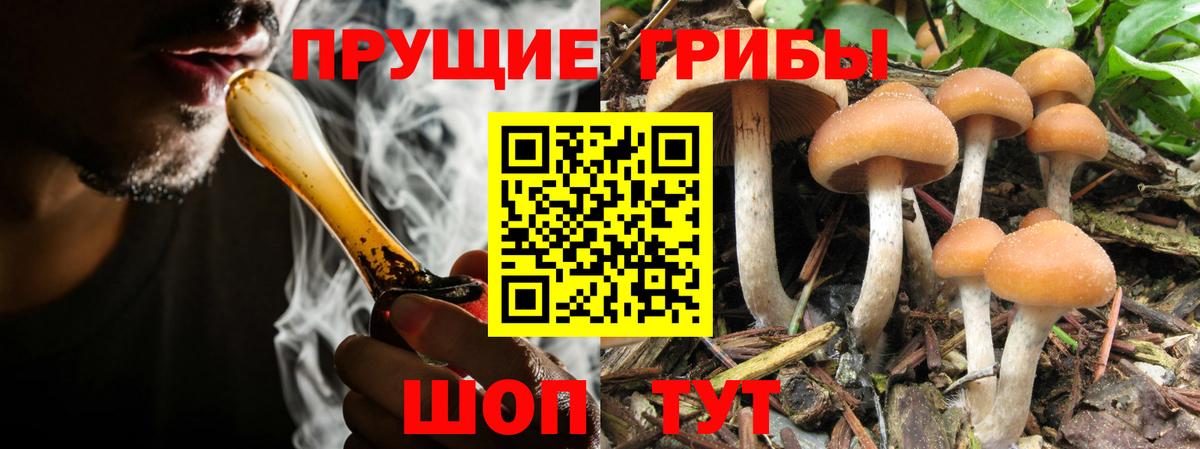 Псилоцибиновые грибы ЛСД  Вход с VPN  Череповец  Галлюциногенные грибы MAGIC MUSHROOMS 